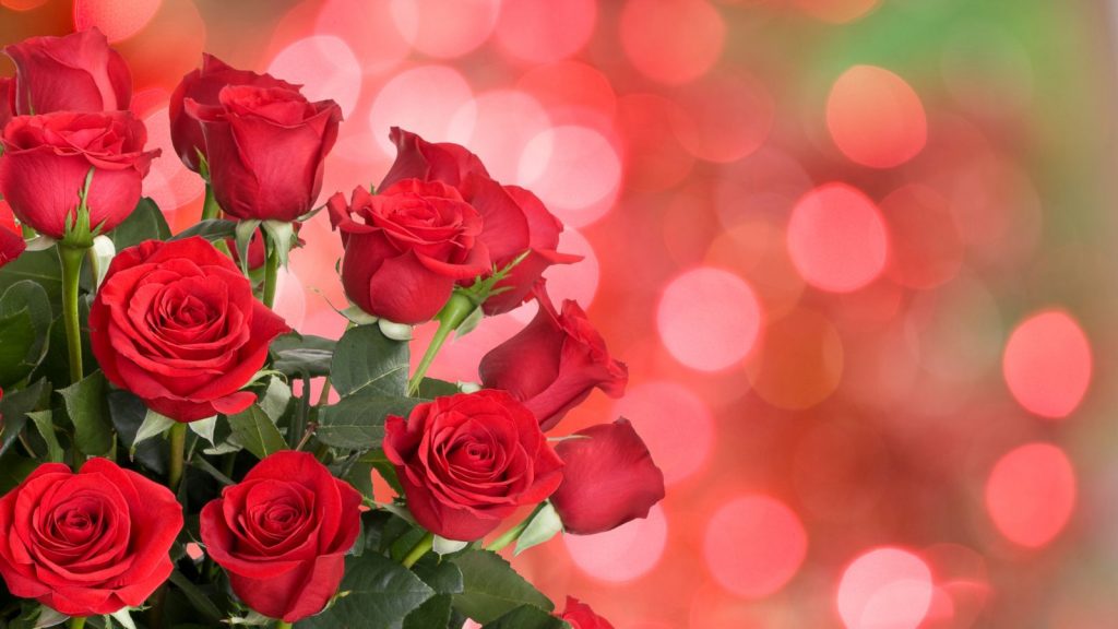 THE FOUR MOST BEAUTIFUL FLOWERS FOR VALENTINE’S DAY