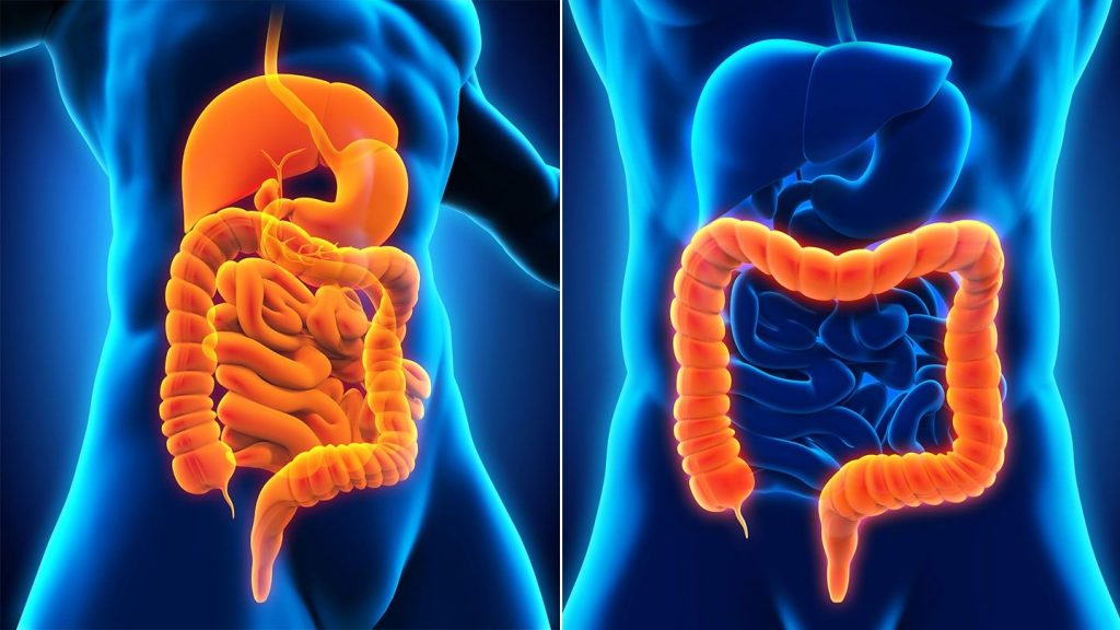 Intestinal Gas Production and Measures in Adults